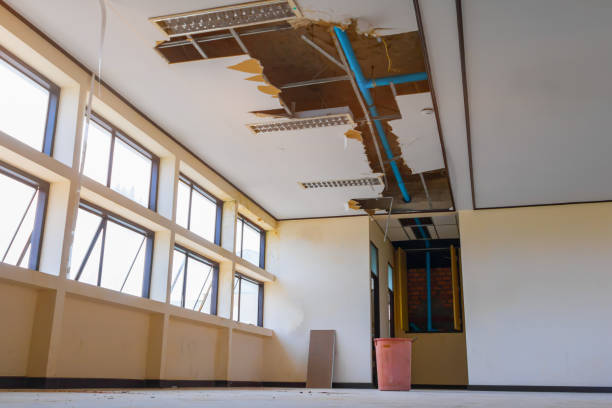 Best Flood damage cleanup  in Canaan, CT