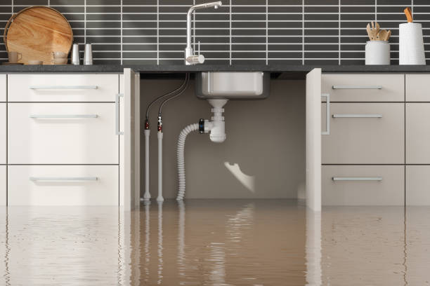 Best Water damage contractors near me  in Canaan, CT